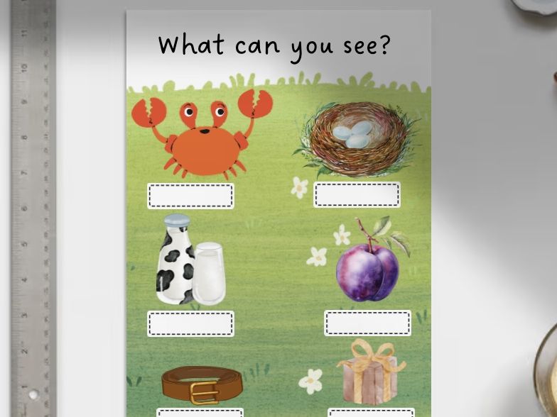 What Can You See? - CCVC/CVCC Words - Miss E's Early Years