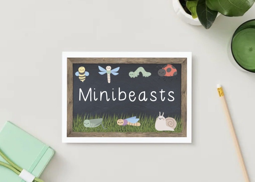 Minibeasts Chalk Sign - Miss E's Early Years
