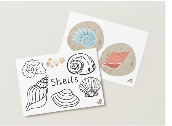 Shells - Colouring - Miss E's Early Years