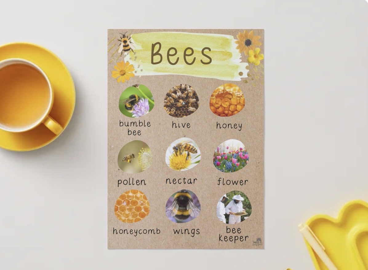 Bee Postser Bee Poster 🐝 - Miss E's Early Years