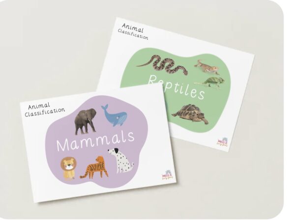 Animal Classification Display - Miss E's Early Years